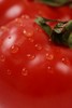 juicy-tomatoes.jpg