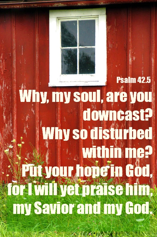 psalm 42.5